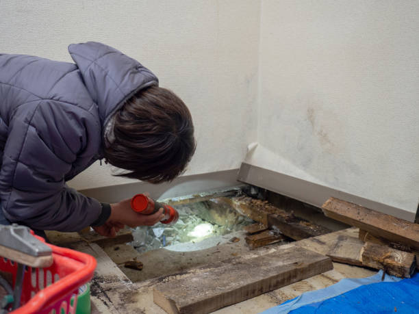 Biohazard Mold Removal in Arden On The Severn, MD