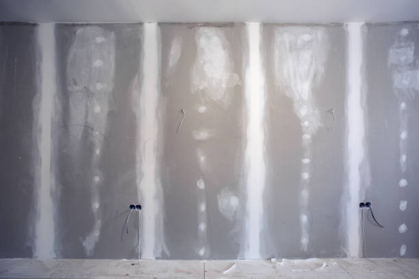 Best Mold-Related Health Consultation  in Arden On The Severn, MD
